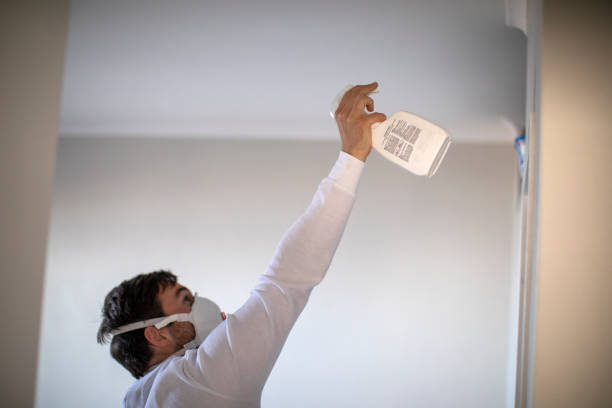 Best Mold Removal Near Me  in Bellflower, CA