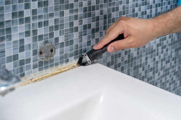 Best Mold Removal and Inspection  in Bellflower, CA